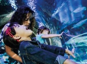 Sea Life London – Standard Entry